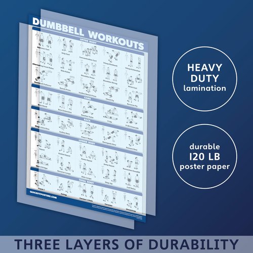 Palace Learning QuickFit 3 Pack, Dumbbell Workouts + Bodyweight Exercises + Stretching Routine Poster Set - Set of 3 Workout Charts (Laminated, 18" x 24")