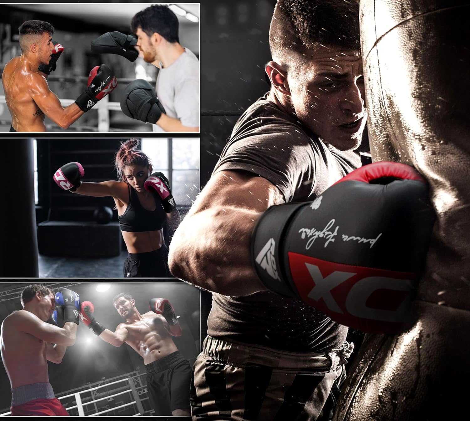 RDX Boxing Gloves - Maya Hide Leather Training Gloves for Muay Thai & Kickboxing | 8-16 oz Sizes