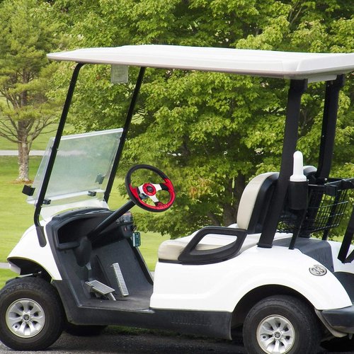 Roykaw Golf Cart Universal Steering Wheel Compatible with EZGO RXV TXT, Club Car DS Precedent Tempo, Yamaha G29 Drive Drive 2,Universal Design for Most Golf Cart