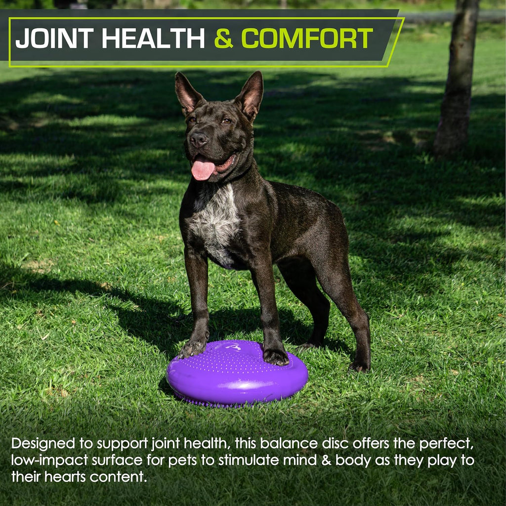 ProsourceFit Core Balance Disc - 14” Trainer with Pump for Enhanced Posture and Stability