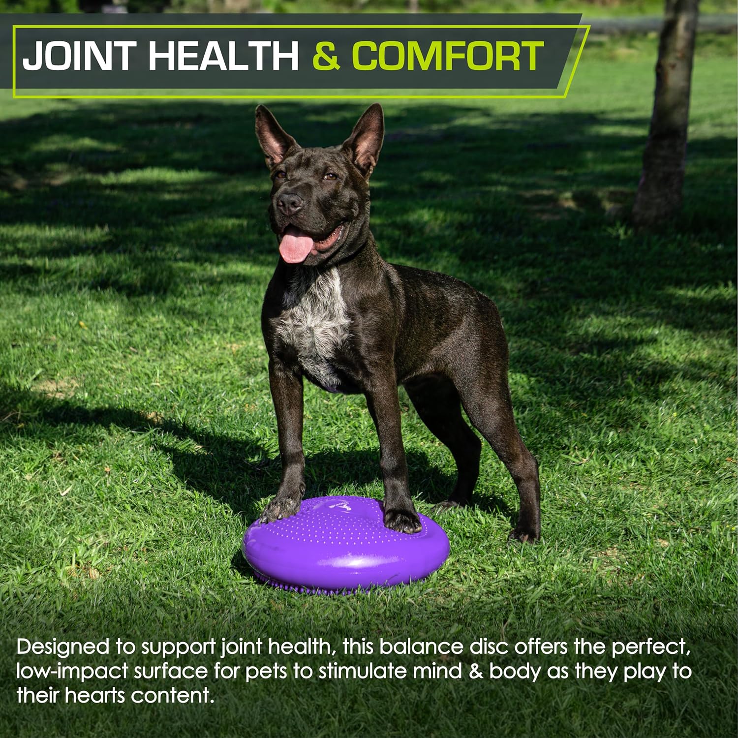 ProsourceFit Core Balance Disc - 14” Trainer with Pump for Enhanced Posture and Stability