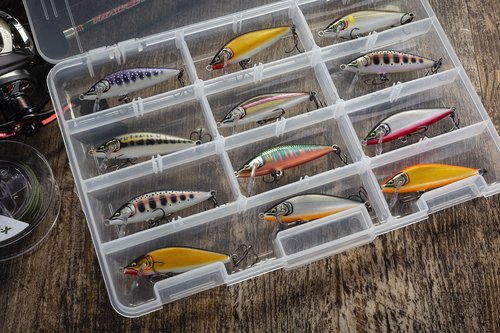 Rapala Count Down Elite Minnow Lure, Sinking Hard Bait, Trout Bass Walleye Fishing Lure, Controlled Depth, 2-1/4", Gilded Rainbow Trout