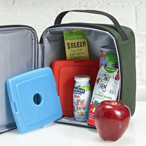 Fit & Fresh Cool Coolers | 4-Pack Slim Ice Packs - Quick Freeze, Space-Saving Design for Lunch Boxes & Coolers