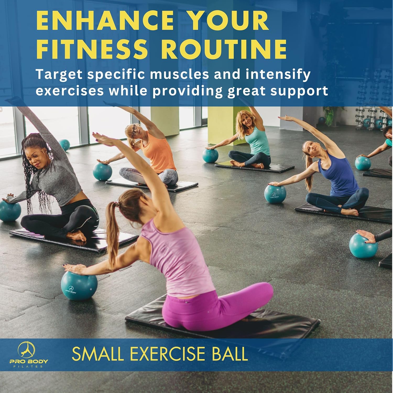ProBody Pilates Exercise Ball - 9 Inch Stability Ball with Pump for Yoga, Core & Physical Therapy