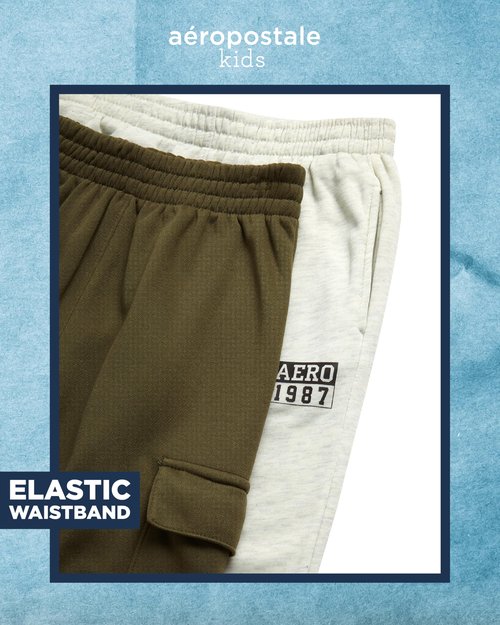 AEROPOSTALE Boys Sweatpants - 2 Pack Performance Fleece Boys Joggers with Side Pockets - Cozy Athletic Kids Pants (Size 8-16), Size 14-16, Grape Leaf/Oatmeal