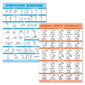 2 Pack Stretching Exercises and Sliding Bench Workout Poster Set - Compatible with Total Gym & Weider Ultimate Body Works [LIGHT] (LAMINATED, 18” x 24”)
