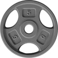 Yes4All 1-Inch Grip Weight Plates - Cast Iron for Strength Training | Multiple Sizes 2.5 lb to 35 lb