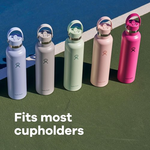 Hydro Flask Water Bottle - Insulated Stainless Steel - Leakproof Straw Lid | 24 Oz Trillium Pink