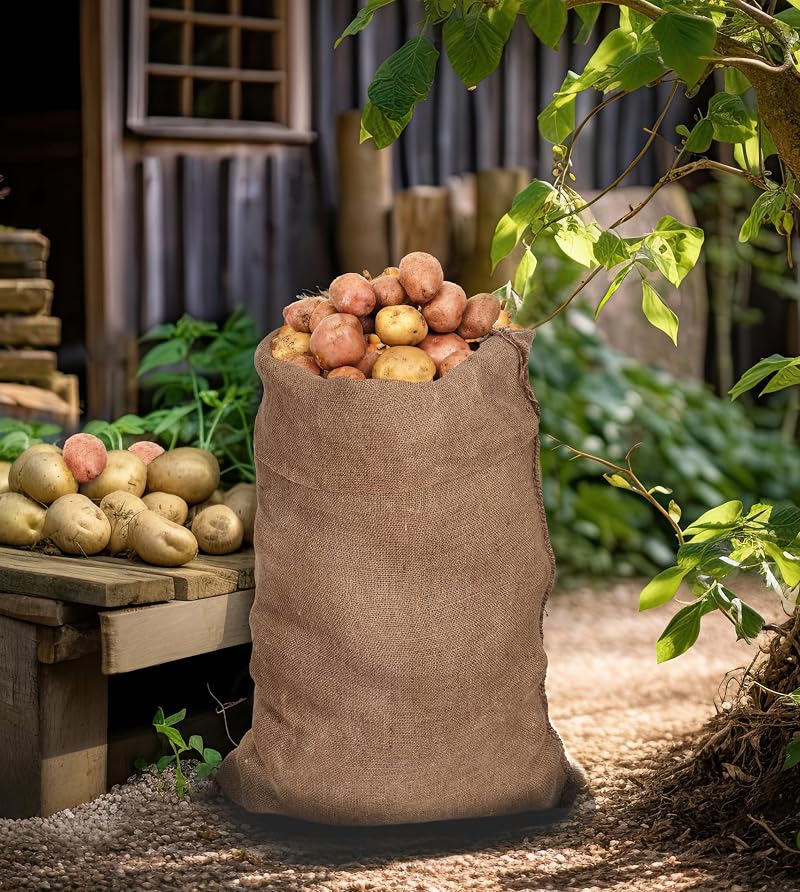 10 Pack 24x39 Large Potato Sack Race Bags - 100% Jute Burlap Burlap Sacks