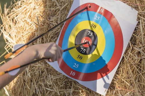 Bear Archery Youth Safety Glass Arrows - Durable Fiberglass Design with Pre-Fletched Vanes & Nocks Included