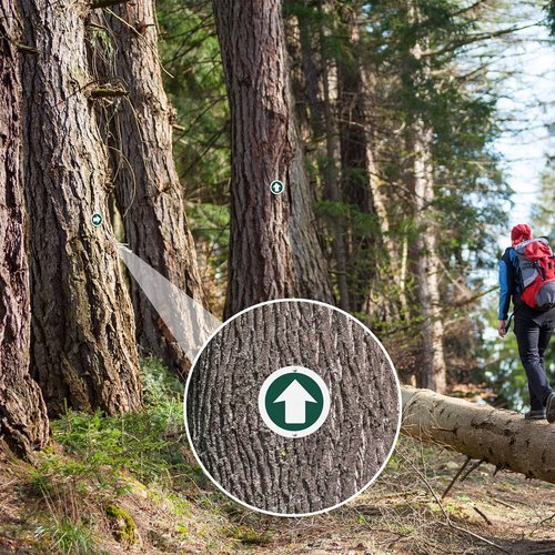 Amylove 36 Piece Trail Markers Bright Reflective Trail Markers Green Bright Trail Signs Trail Marking Reflectors for Hiking Hunting Camping Backpacking Walking Driveway Office New Place, Easy to Mount