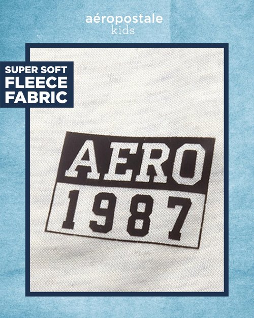 AEROPOSTALE Boys Sweatpants - 2 Pack Performance Fleece Boys Joggers with Side Pockets - Cozy Athletic Kids Pants (Size 8-16), Size 14-16, Grape Leaf/Oatmeal