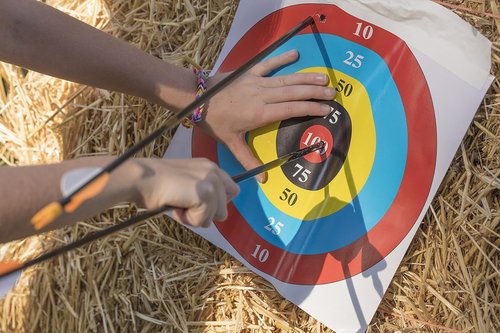 Bear Archery Youth Safety Glass Arrows - Durable Fiberglass Design with Pre-Fletched Vanes & Nocks Included