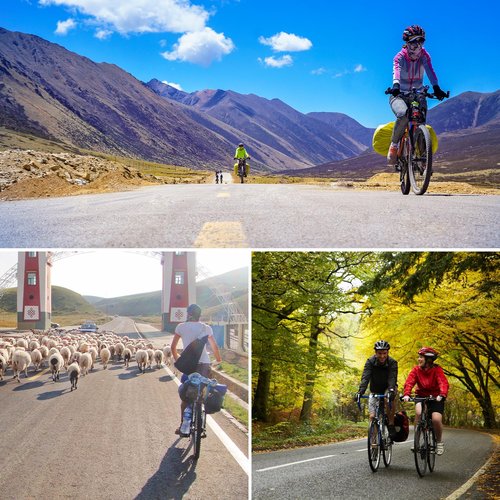 LEPump Rear Bike Rack for Back, Bicycle Cargo Rack, 110 lbs Large Capacity Bike Pannier Rack, Adjustable Bicycle Touring Luggage Carrier Rack for 24"-29" Frames