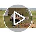 Heavy Duty 2-Person Camping Loveseat Chair - Grey, Non-Heating, 800LBS Support