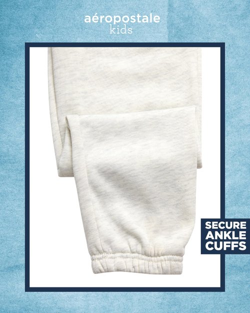 AEROPOSTALE Boys Sweatpants - 2 Pack Performance Fleece Boys Joggers with Side Pockets - Cozy Athletic Kids Pants (Size 8-16), Size 14-16, Grape Leaf/Oatmeal