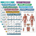 11 Pack - Exercise Poster Set, Dumbbell, Suspension, Kettlebell, Resistance Bands, Stretching, Bodyweight, Barbell, Yoga, Exercise Ball, Muscular System, Medicine Ball (LAMINATED, 18" x 24")