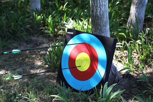 LWANO 20'' High-Density Foam Archery Target - Perfect for Backyard Practice & Training
