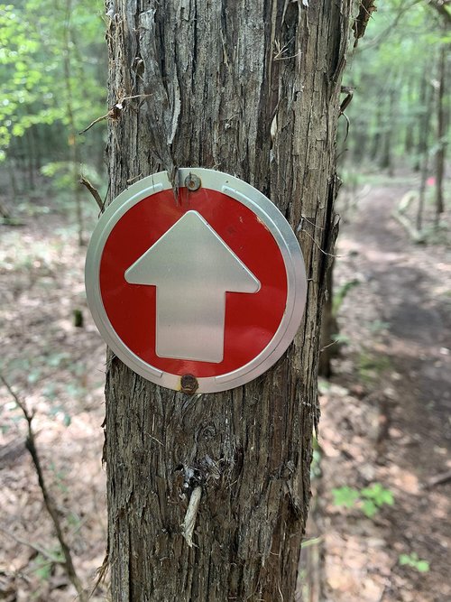 Wild Drifter Trail Markers - Bright Reflective Trail Marker Pack of 24, Easy to Mount, Mark Your Trees for Hunting, Hiking, Camping, and More. (Red, 24)