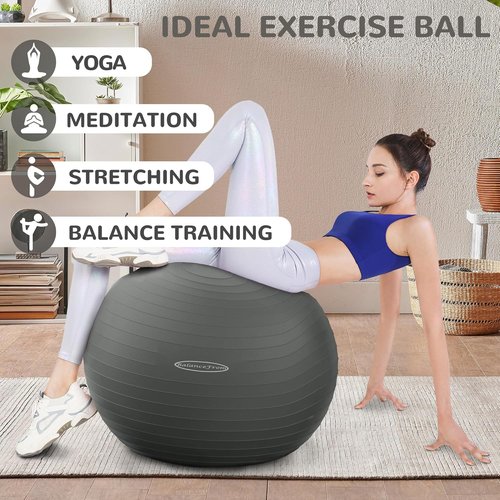 Fitvids Exercise Ball - Anti-Burst Slip Resistant Fitness & Yoga Ball with Quick Pump | 65cm Size