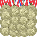 Regine Switzerland 12 Pcs Participation Medals - 2 Inch Metal Trophies with Neck Ribbons for Sports Events