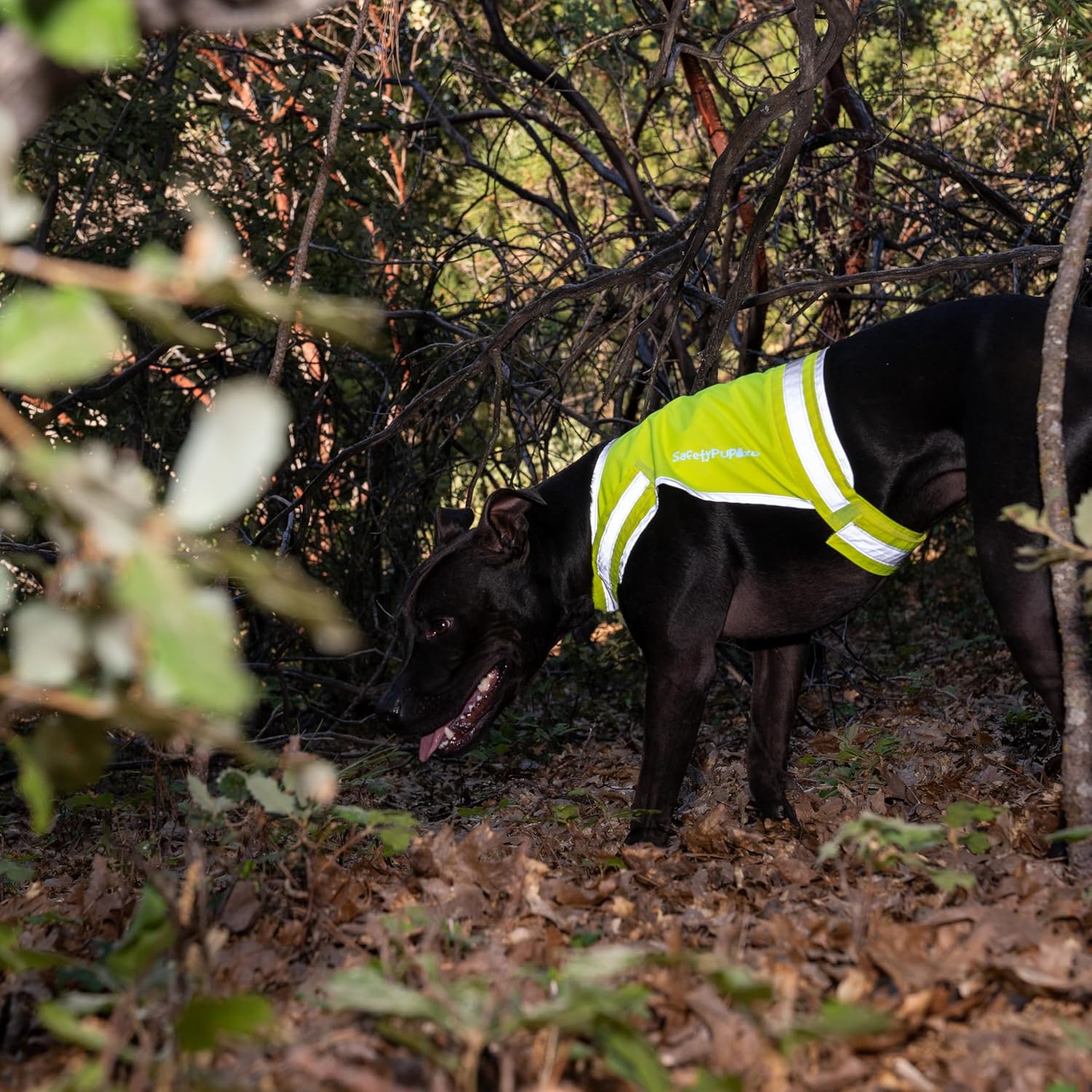 SafetyPUP | XD Lite Dog Vest - Reflective Hi-Visibility Coverage to Mid Back in Fluorescent Yellow