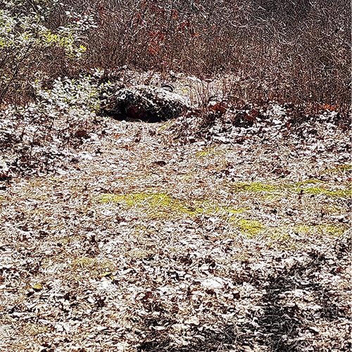 LOOGU Camo Netting, Camouflage Net Blinds Great for Sunshade Camping Shooting Hunting