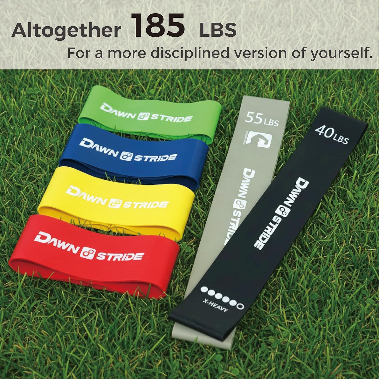 Skiennix 6-Levels Resistance Loop Bands Set - Elastic Workout Bands for Yoga & Strength Training | Includes Guide & Carry Bag