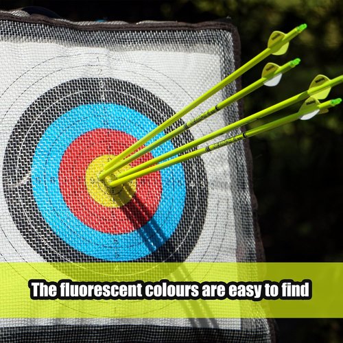 Carbon Arrow Archery | 30-Inch Bright Color Hunting Target Practice Arrows - Spine 500, Pack of 12