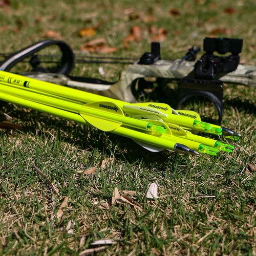 Carbon Arrow Archery | 30-Inch Bright Color Hunting Target Practice Arrows - Spine 500, Pack of 12
