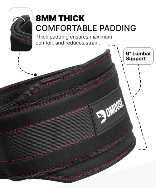 DMoose Fitness Dip Belt For Weightlifting - Weighted Pull Up and Squat Belt with Chain for Intense Workouts - Heavy Duty Stainless Steel Chain & Coated D-Ring - Weight Dipping Belt for Dips - Black