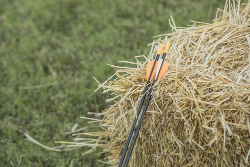Bear Archery Youth Safety Glass Arrows - Durable Fiberglass Design with Pre-Fletched Vanes & Nocks Included