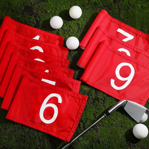 Riakrum 9 Pcs mini golf flags for yard 8.9 x 5.7 Inch 1-9 Nylon golf Pin Flags for putting green with Tube Inserted Numbered Yard Indoor Outdoor hole Backyard Garden Practice