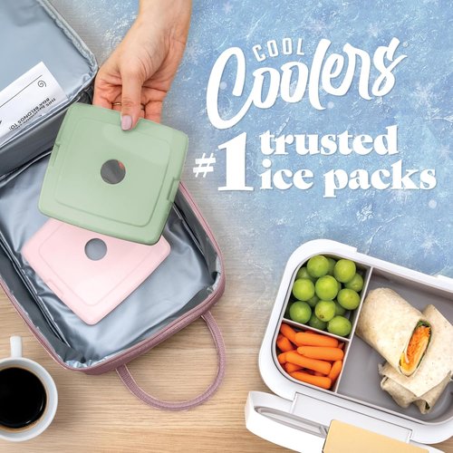 Fit & Fresh Cool Coolers Slim Ice Packs - Quick Freeze Reusable Lunch Ice Packs, 4-Pack, Multicolor