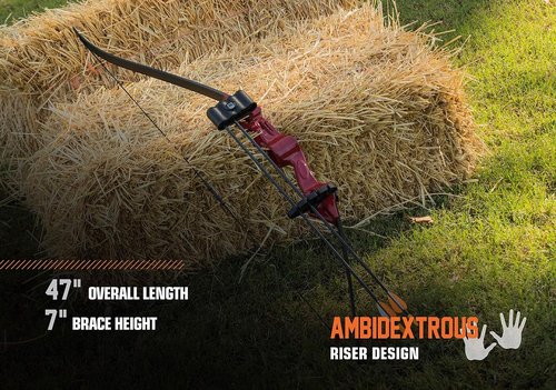 Bear Archery Flash Bow Set - Youth-Friendly Design for Ages 11-14 | Ambidextrous, 18 lb Draw Weight, 24-Inch Draw Length