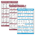 Palace Learning 3 Pack: Resistance Bands Workouts Volume 1 & 2 + Stretching Exercises Poster Set - Set of 3 Workout Charts (LAMINATED, 18" x 24")