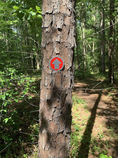 Wild Drifter Trail Markers - Bright Reflective Trail Marker Pack of 24, Easy to Mount, Mark Your Trees for Hunting, Hiking, Camping, and More. (Red, 24)