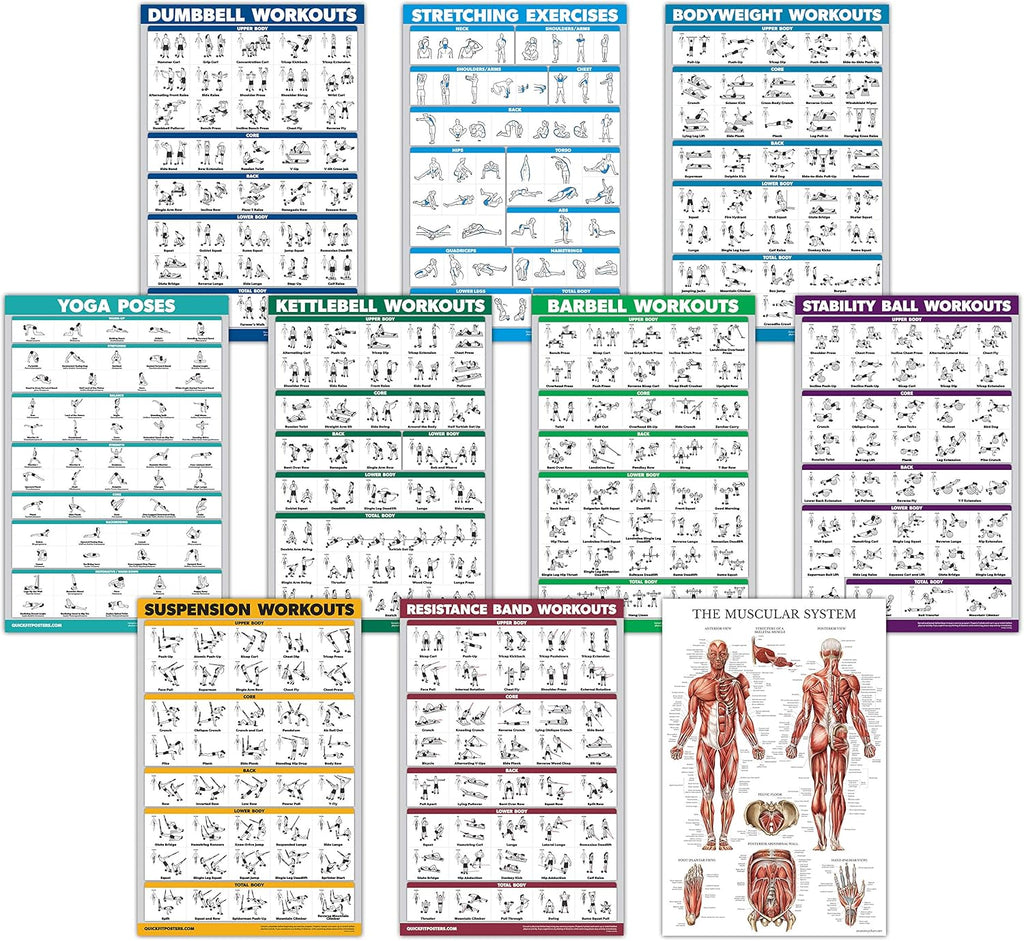 Skiennix Exercise Workout Poster Set - 10 Pack of Laminated Fitness Charts | 18" x 24" Size