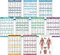 Skiennix Exercise Workout Poster Set - 10 Pack of Laminated Fitness Charts | 18" x 24" Size
