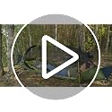 Night Cat Army Green Flat Lay Camping Hammock Tent with Mosquito Net & Rainfly, Supports 330LBS