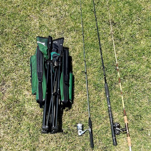 EASYGO PRODUCTS Fishing Chair with Rod Holder – Built in Cooler – Hands Free Fishing Pole Holder - Storage Pouch – Full Size Portable & Folding – Ruler for Measuring Fish, Fishing Chair Green