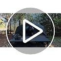 Gonex 31.5-Inch Wide Camping Tent Cot - Army Green, Portable & Adjustable